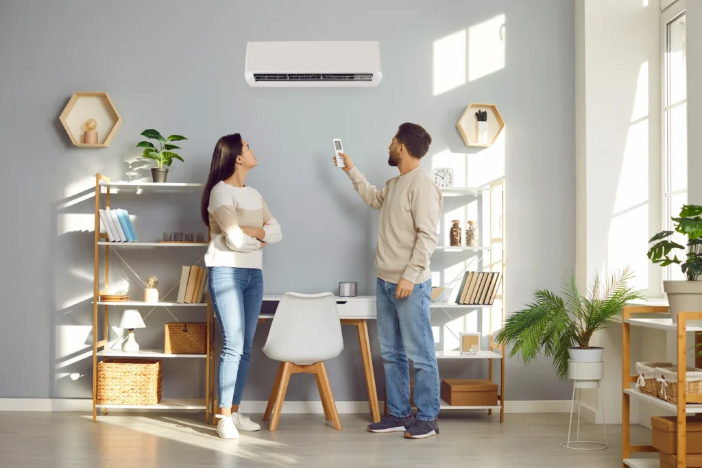 Dr Ductless ()