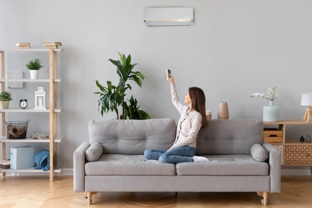 Dr Ductless ()